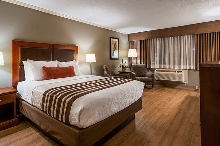 Rooms Best Western Plus Ottawa City Centre Hotels In Ottawa